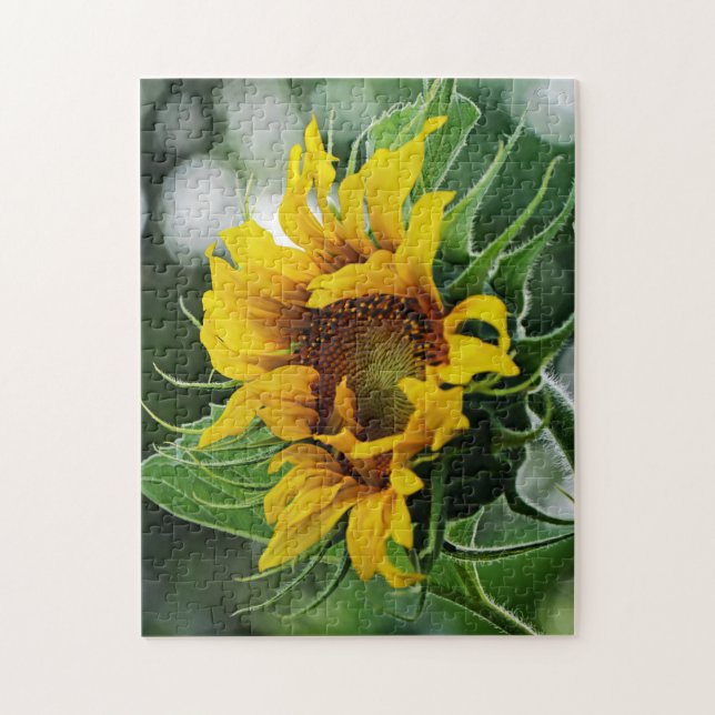 Puzzle Girasol (Vertical)