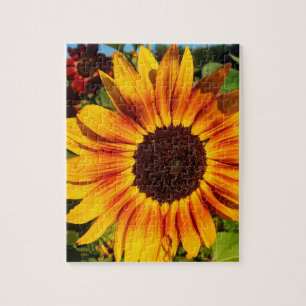 Puzzle Girasol