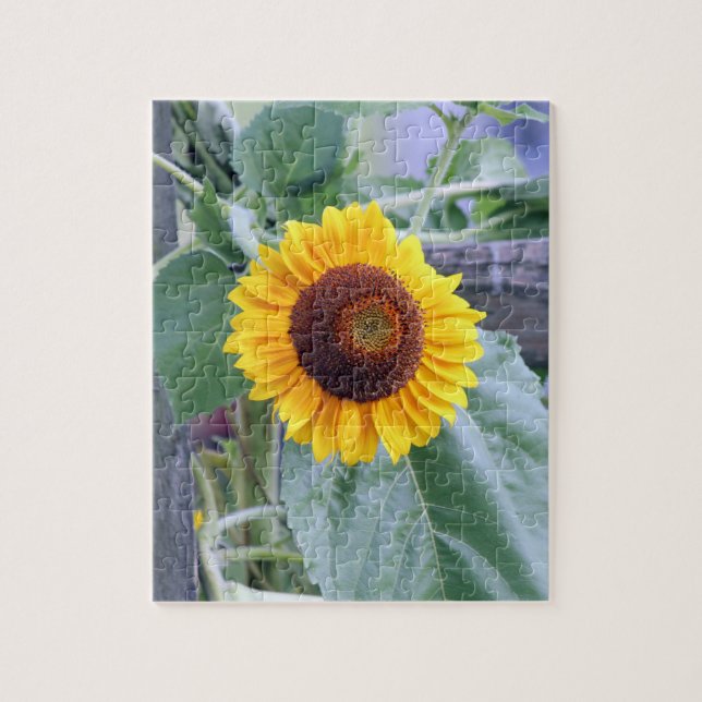 Puzzle girasol (Vertical)