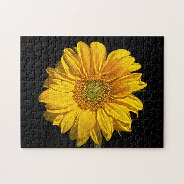 Puzzle Girasol 11x14 252pc jpa (Horizontal)