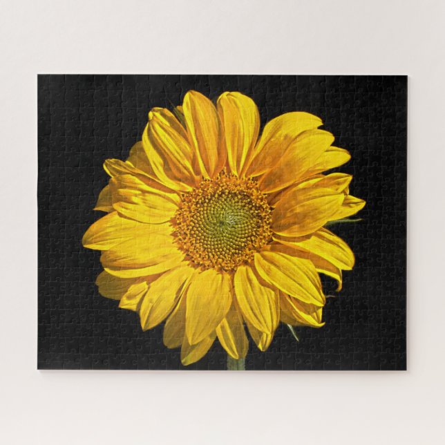 Puzzle Girasol 16x20 520pc jpcna (Horizontal)