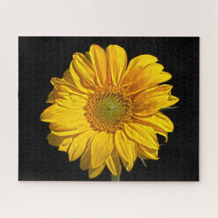 Puzzle Girasol 16x20 520pc jpcnm