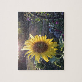 Puzzle Girasol al atardecer —