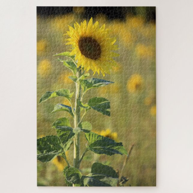 Puzzle Girasol amarillo (Vertical)