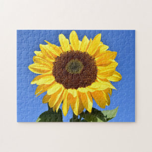 Puzzle Girasol amarillo brillante