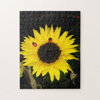 Puzzle Girasol Amarillo Y Dos Ladybugs