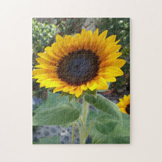 Puzzle Girasol bonito