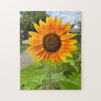 Puzzle Girasol brillante