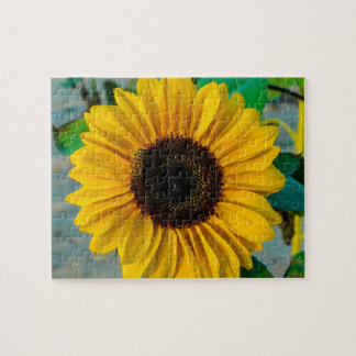 Puzzle Girasol con abeja