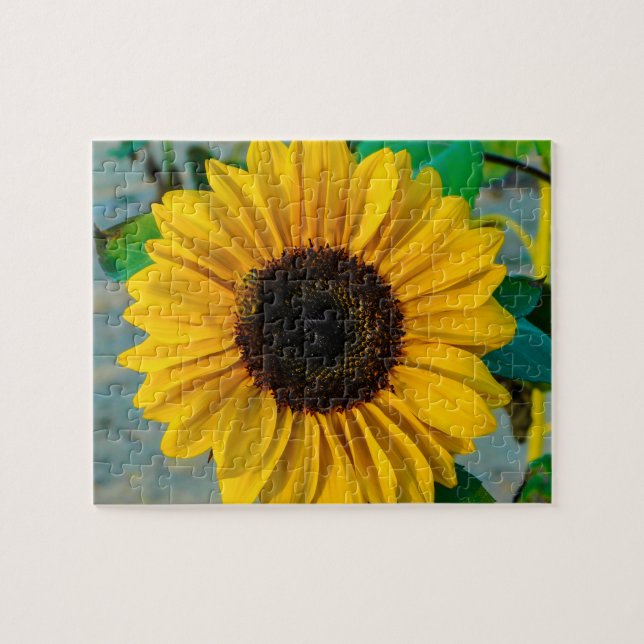 Puzzle Girasol con abeja (Horizontal)
