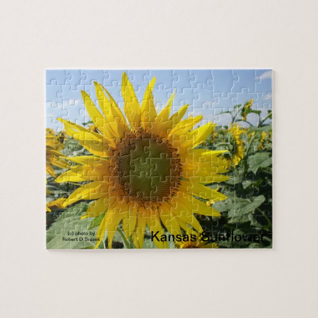 Puzzle Girasol de Kansas (Horizontal)