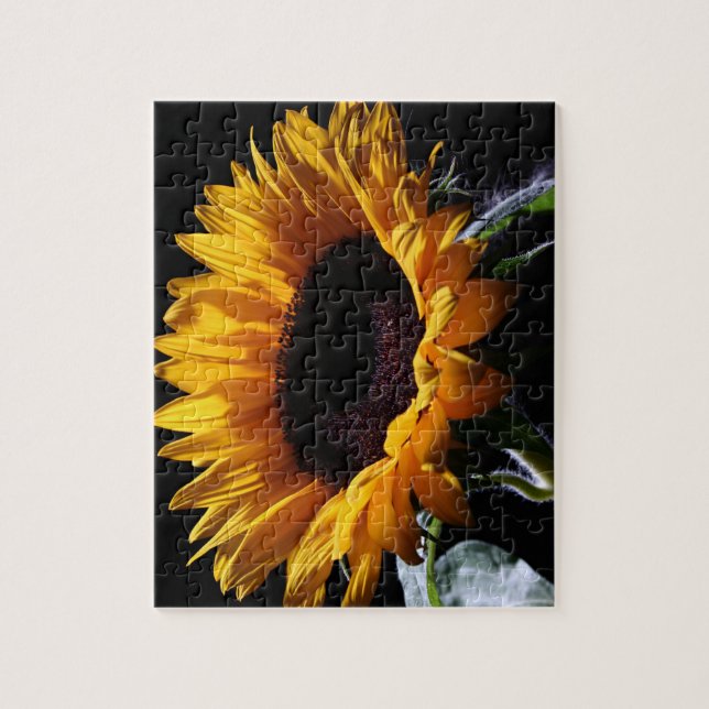 Puzzle Girasol en el estudio 1 (Vertical)
