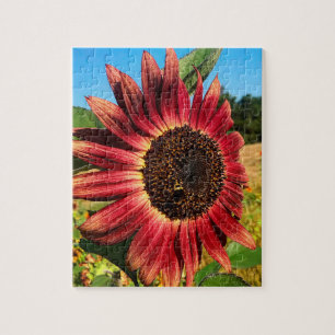 Puzzle Girasol rojo con abeja