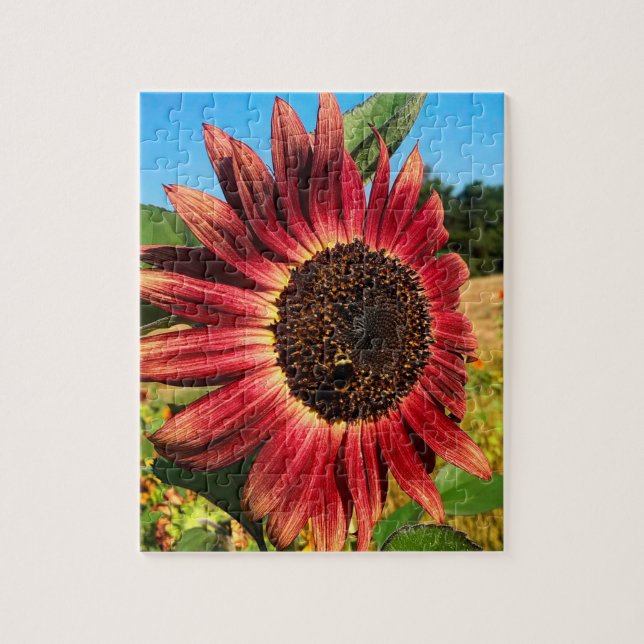 Puzzle Girasol rojo con abeja (Vertical)