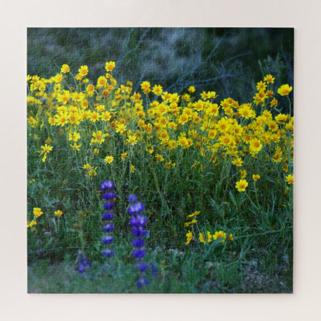 Puzzle Girasol y lavanda (Horizontal)