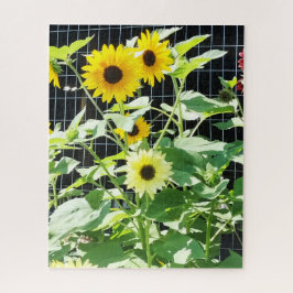 Puzzle Girasoles