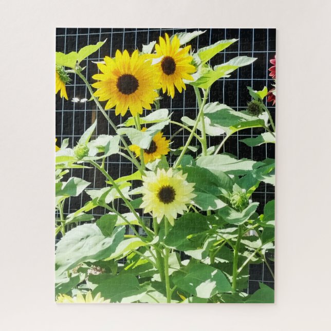 Puzzle Girasoles (Vertical)