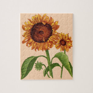 Puzzle girasoles