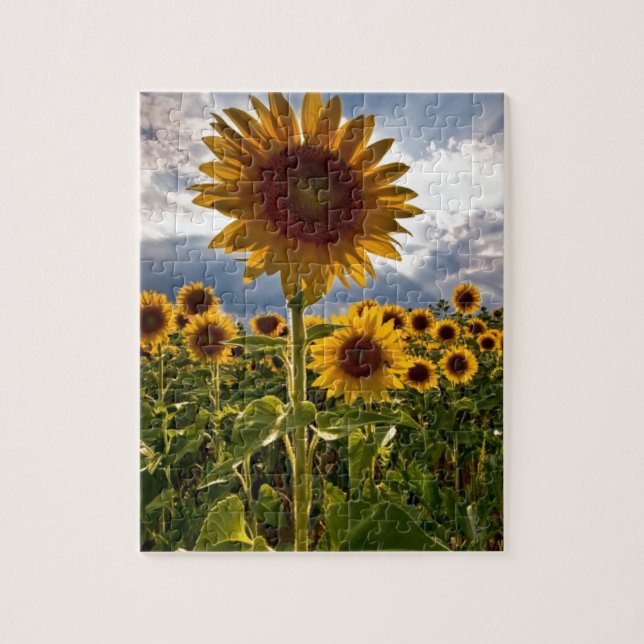 Puzzle Girasoles (Vertical)