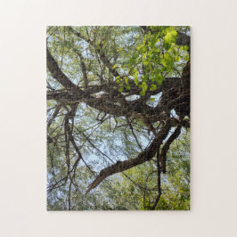 Puzzle Giros y árbol silvestre curvado