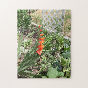 Puzzle gladiolos naranjas