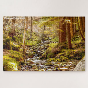 Puzzle Glendalough Wicklow Irlanda