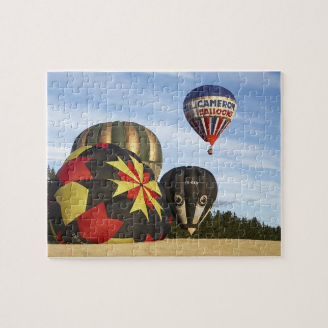 Puzzle Globos aerostáticos cerca de Wanaka, Isla Sur, Nue (Horizontal)