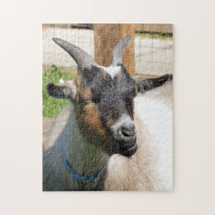 PUZZLE GOAT