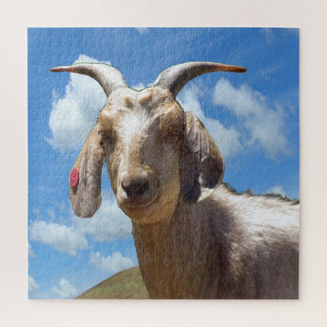 Puzzle - Goat Portrait (Vertical)