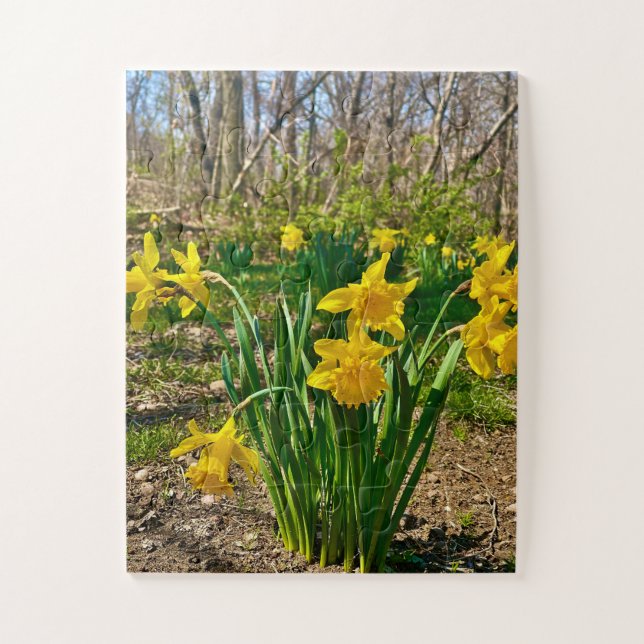 Puzzle Golden Embrace | Daffodil Bloom in Springtime (Vertical)