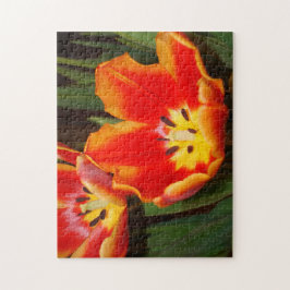 Puzzle Golden Heart Tulip Puzzle, 11" x 14", 252 pieces