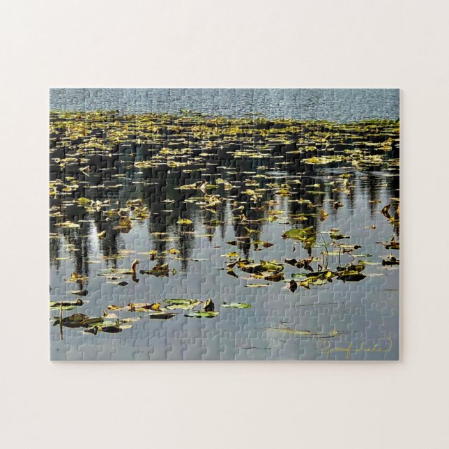 Puzzle Golden Lily Pads (Horizontal)