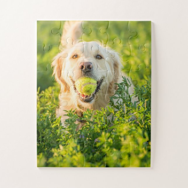 Puzzle Golden Retriever con Ball (Vertical)