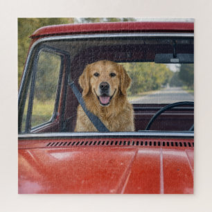 Puzzle Golden Retriever con cinturón de seguridad