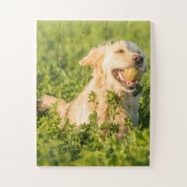 Puzzle Golden Retriever con Pelota