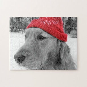 Puzzle Golden retriever del perro del esquí