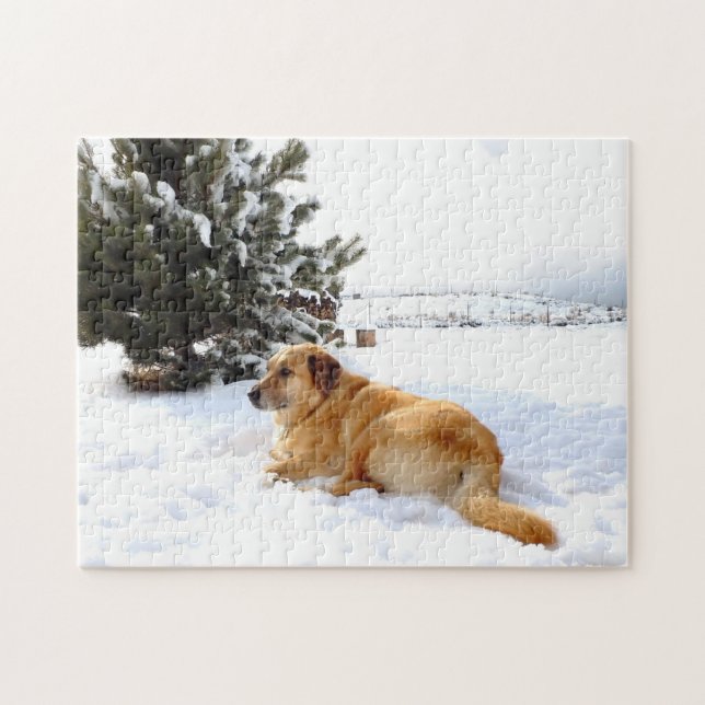 Puzzle Golden retriever en el país de las maravillas del (Horizontal)