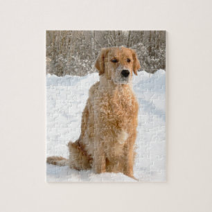 Puzzle Golden retriever en la nieve