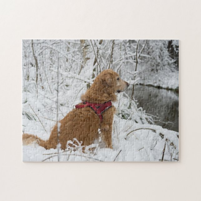 Puzzle Golden Retriever mirando al río en la nieve (Horizontal)