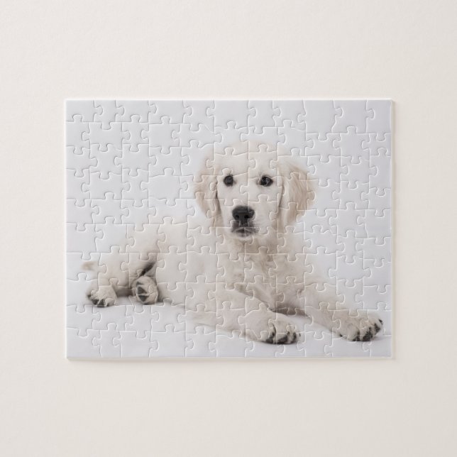 Puzzle Golden Retriever Photo (Horizontal)