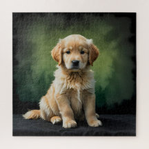 Golden Retriever Puppy