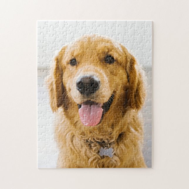 Puzzle Golden Retriever Sonriendo (Vertical)