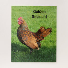 Puzzle Golden Sebright Hen - Bantam Mascota Chicken