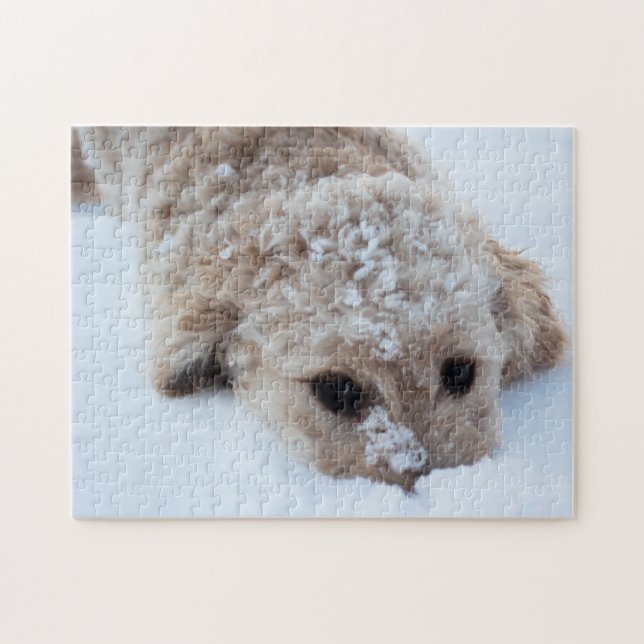 Puzzle Goldendoodle Con Nariz En Nieve (Horizontal)