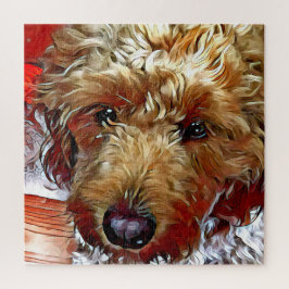 Puzzle Goldendoodle Puppy