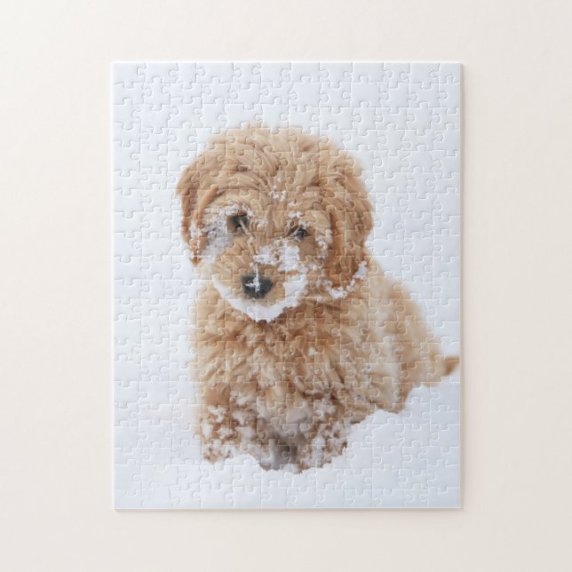 Puzzle Goldendoodle Puppy Con Nieve En La Cara (Vertical)
