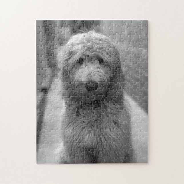 Puzzle Goldendoodle Puppy En El Patio Trasero (Vertical)