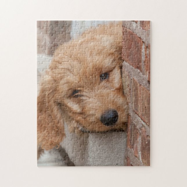 Puzzle Goldendoodle Puppy Peeking (Vertical)