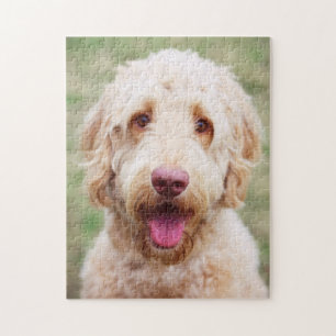 Puzzle Goldendoodle Smiling