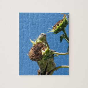 Puzzle Goldfinch